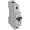 Legrand ISTIČ RX3 1P C32 6000A