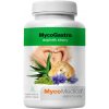 MycoMedica MycoGastro 90 g