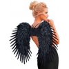 Krídla z čierneho peria, 80x60 cm