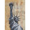 Ceduľa Socha Slobody - USA Liberty - ceduľa 30cm x 20cm Plechová tabuľa
