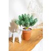 Dekorácia MagicHome Vianoce, vetvičky v črepníku, zasnežená, 20 cm