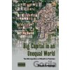 Big Capital in an Unequal World - Rosita Armytage