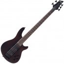 Schecter Omen 5