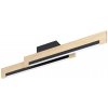 Eglo | Eglo 99292 - LED Stmievateľné stropné svietidlo CAMACHO 2xLED/10W/230V | EG99292
