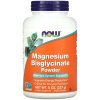Now foods magnézium-bisglycinát v prášku 227g
