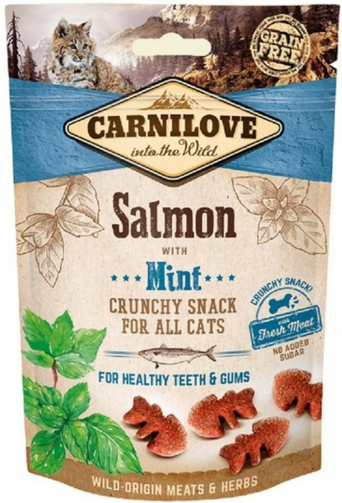 CARNILOVE cat SALMON mint 50 g