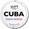 Cuba White forest berries 16mg/g 20 vrecúšok