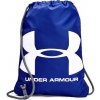 Under Armour UA Ozsee 1240539-402 Blu