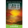Nasterea - Petra Stehlíková
