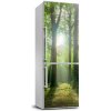 Nálepka tapeta na chladničku Slnko v lese 60x180 cm