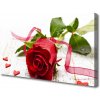 Obraz Canvas Ruže kvet rastlina 100x50 cm