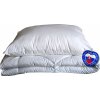 DeLuxe antialergická súprava 140x220cm Rozmer paplón-vankúš: 140x220 cm
