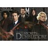 EDUCA Puzzle Fantastické zvieratá: Dumbledorovo tajomstvo 1000 dielikov
