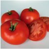 BIO Paradajka Legend PhR - Solanum lycopersicum - predaj bio semien - 7 ks