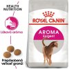 Royal Canin Exigent 33 Aromatic Attraction - 2kg