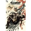 DC Comics Batman: Heart of Hush