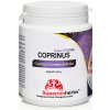 SuperionHerbs Coprinus comatus 90 kapsúl