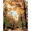 Maľovanie podľa čísel – Jesenné stromy, 40 × 50 cm, bez rámu a bez napnutého plátna 8596530040880