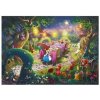 Schmidt Spiele Disney Dreams Collection Mad Hatters Tea Party Thomas Kinkade pre dospelých 6000 dielov