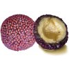 LK Baits Nutrigo Pellets Chilli Halibut, 250ml, 24mm