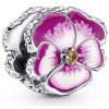 Pandora 790777C01