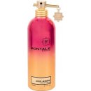 Montale Paris Aoud Jasmine parfumovaná voda unisex 100 ml tester