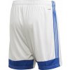 Adidas Tastigo 19