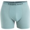 icebreaker Anatomica cloud ray