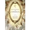 Encyclopedia of Angels (Richard Webster)(Brožovaná)