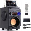 Prenosný reproduktor Feegar Showjet čierny 30 W