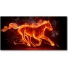 Moderný foto obraz na stenu Kôň v plameňoch 100x50 cm