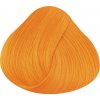 LA RICHÉ Directions Apricot 89 ml