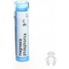 Magnesia Phosphorica gra.1 x 4 g 15CH