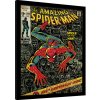 Rámovaný Obraz - Spider-Man - 100th Anniversary, 34.3 × 44.5 cm