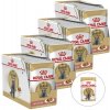 Royal Canin British Shorthair 48 x 85 g