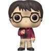 POP! Harry Potter with Stone (Harry Potter) POP-0132