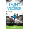 E-kniha Tajný večírek - Patricia Gibneyová