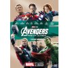 Avengers 2 Age of Ultron DVD