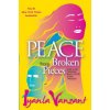 Peace from Broken Pieces: How to Get Through What Youre Going Through Vanzant IyanlaPaperback