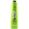 L'Oréal Inoa 2 Rich oxidant 30 Vol 9% 1000 ml