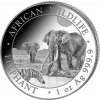 Bavarian Mint Munich Strieborná minca Somalia Elephant 2026 1 oz