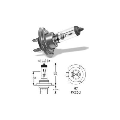 TESLight H7 Px26d 24V 70W