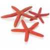 BiOrb Star Fish Decor set červená 12, 10 a 8 cm