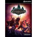 Hra na PC Pillars of Eternity (Champion Edition)