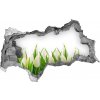 Samolepiaca nálepka fototapeta Biele tulipány 95x73 cm