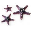 biOrb Umelá dekoracia - Sea Stars Set ružová 10, 8 a 5 cm