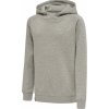 Hummel hml Red Classic Hoodie Kids 215096-2006
