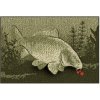 Rohožka Delphin 60x40cm CatchME! Kapor
