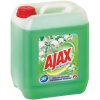 Ajax Floral Fiesta univerzálny čistič, Spring Flowers 5 l