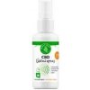 Zelená země CBD ústny sprej s 250 mg CBD a koloidným striebrom - pre svieži pocit a udržanie ústnej hygieny, 50 ml